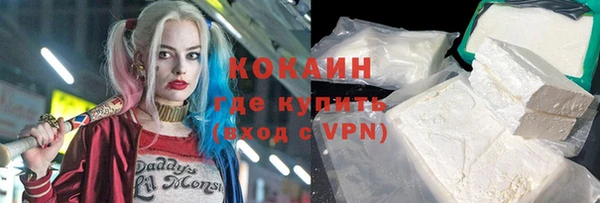 твердый Аркадак