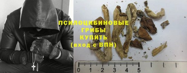 прущие крисы Армянск