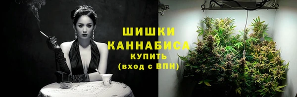 твердый Аркадак
